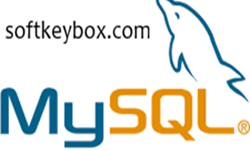 MySQL database management system logo representing structured data storage and SQL-based backend development.