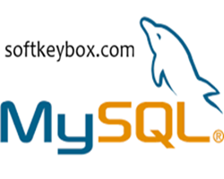MySQL database management system logo representing structured data storage and SQL-based backend development.