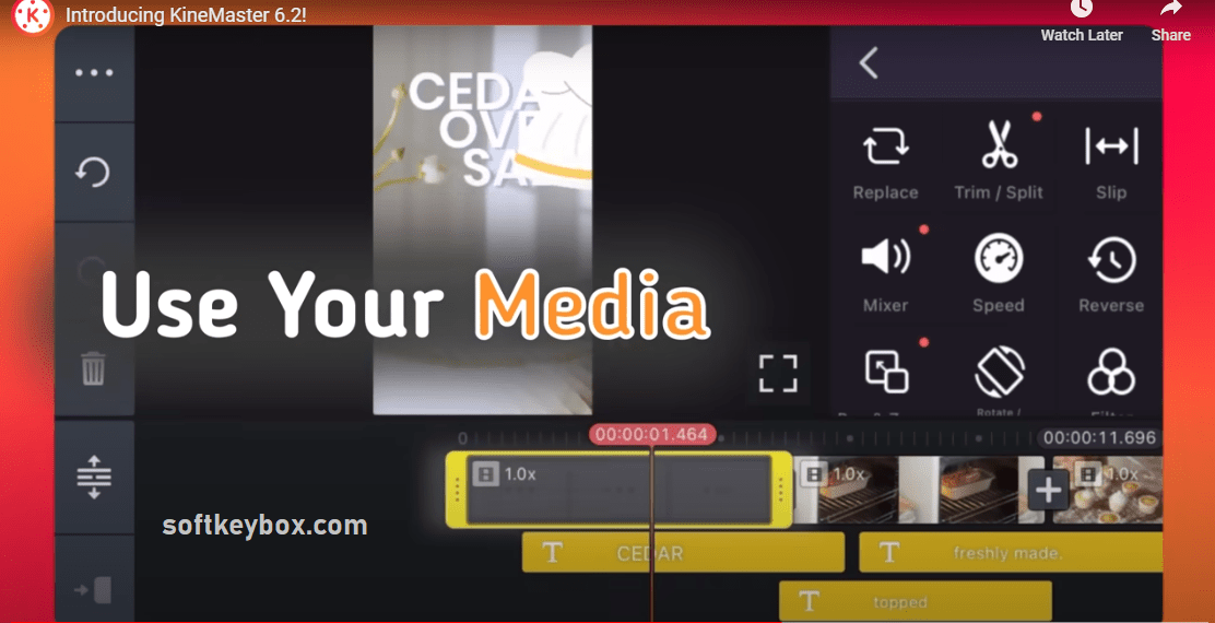 KineMaster Pro Activated Version Interface
